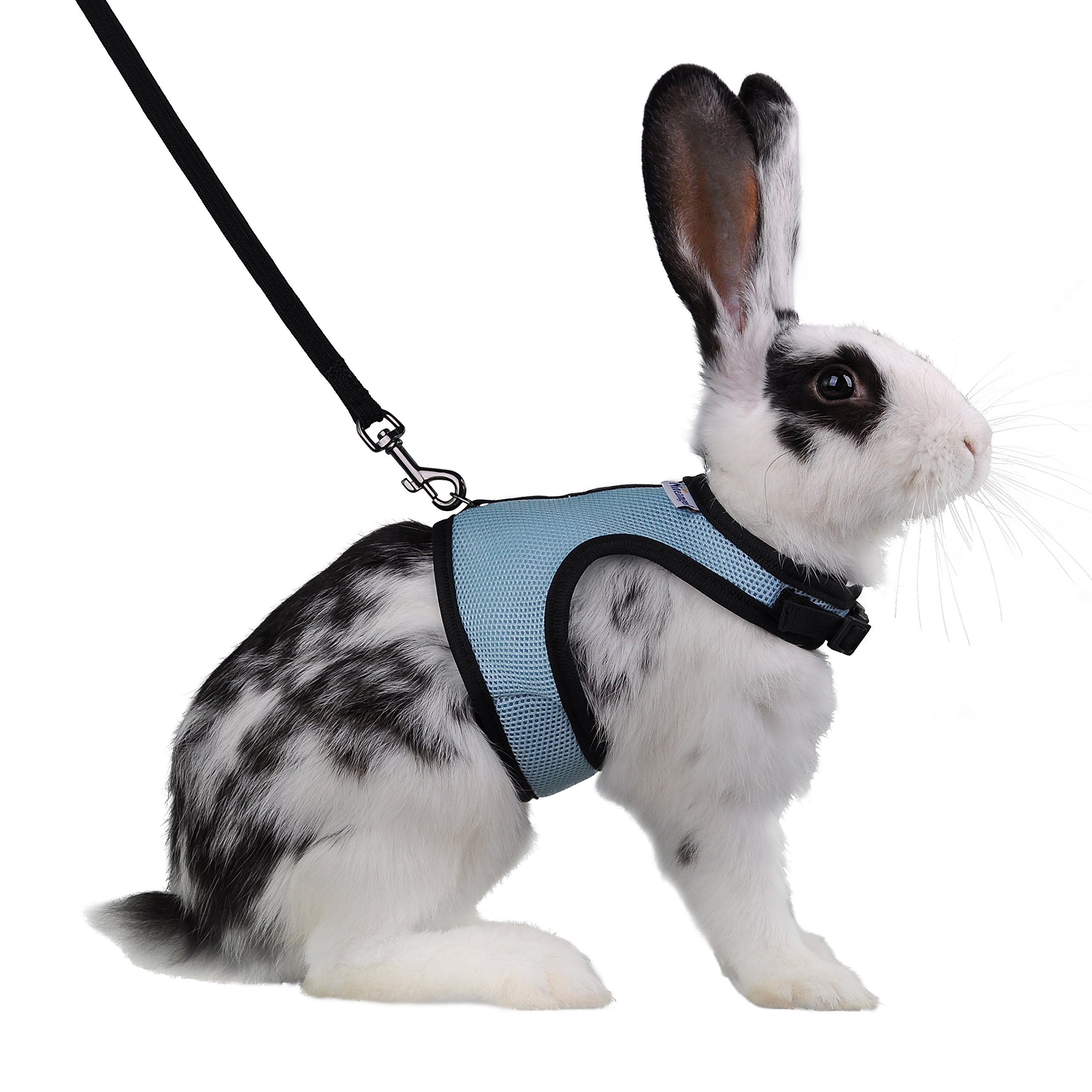 Adjustable Soft Harness Elastic Leash for Rabbits Size L Blue | eBay